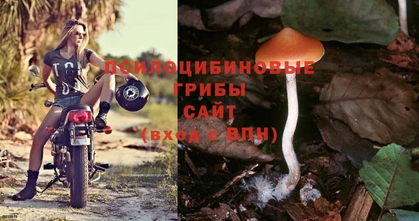 стафф Переславль-Залесский
