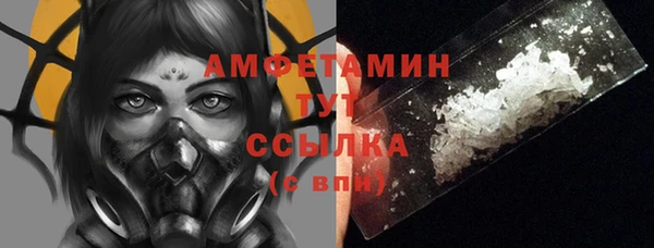 шишки Усолье-Сибирское