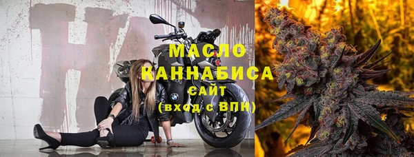 дмт Пересвет