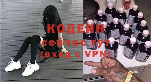 дмт Пересвет