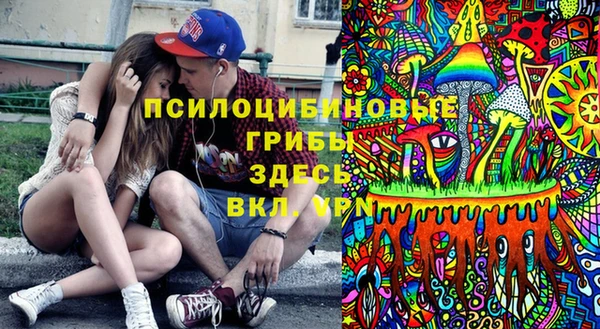дмт Пересвет