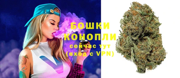 дмт Пересвет