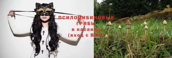 кокс Пестово