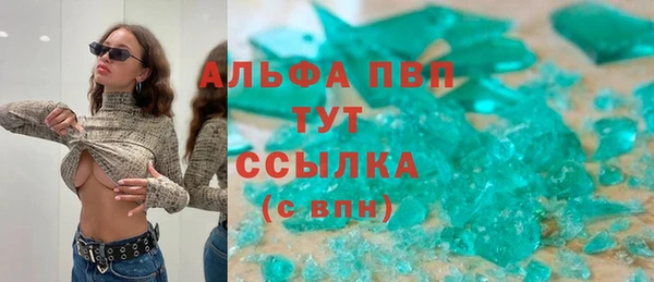 дмт Пересвет