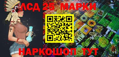 индика Абинск