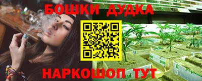 индика Абинск