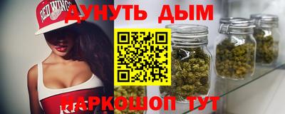 индика Абинск