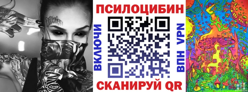 закладка Амурск Псилоцибиновые грибы Psilocybe