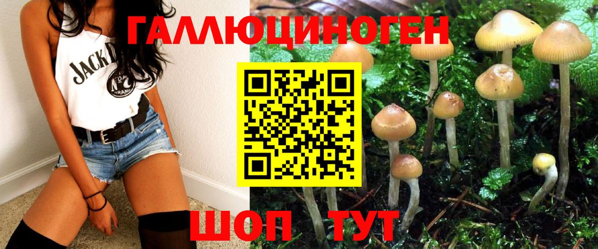 Галлюциногенные грибы ЛСД Амурск